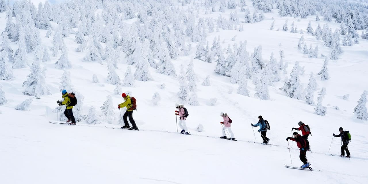 backcountry tour バックカントリーツアー