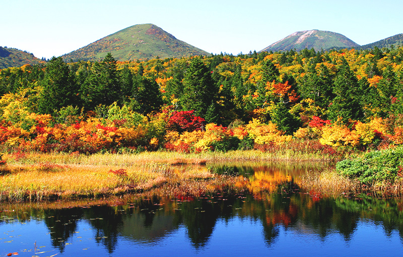 Revel in the Great Outdoors of Hakkoda Throughout the Seasons