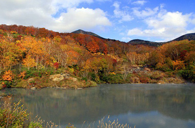 Jigoku Numa Marsh